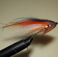 ���� ������� ���� Black / White Orange ( ��� ������ )